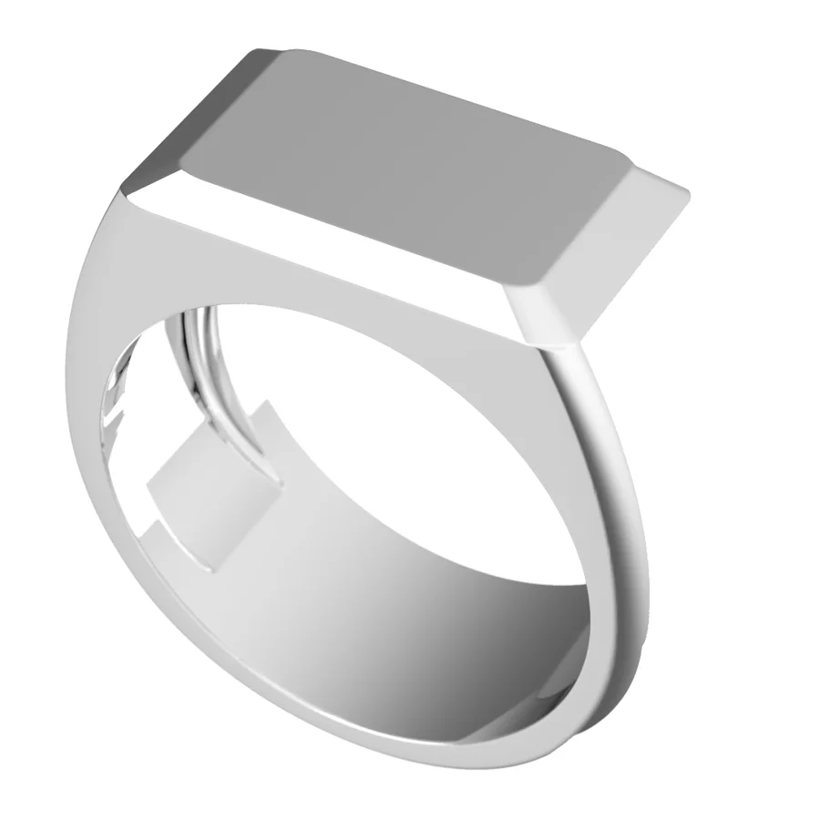 The Charter signet ring in white gold, three-quarter view